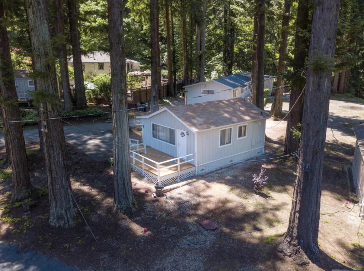 Masoods Lodge Boulder Creek Dış mekan fotoğraf